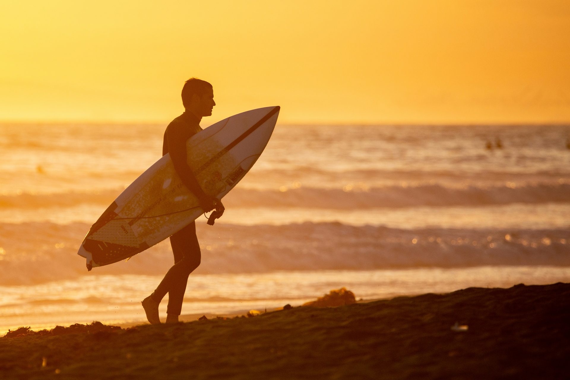Surfer silhouette holding a board at sunset Every lineup has its own language — here is the dictionary. Photo: Bob Oh / Unsplash